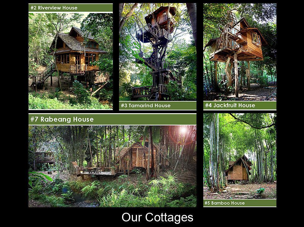 Rabeang Pasak Tree House Resort Chiang Mai Ngoại thất bức ảnh